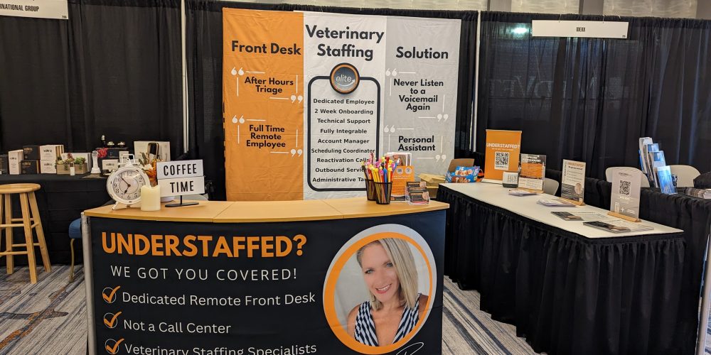 Small Business Staffing Solutions